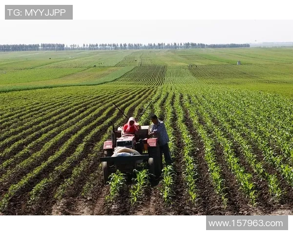 以北京WB为核心推动绿色发展战略 助力城市可持续未来转型