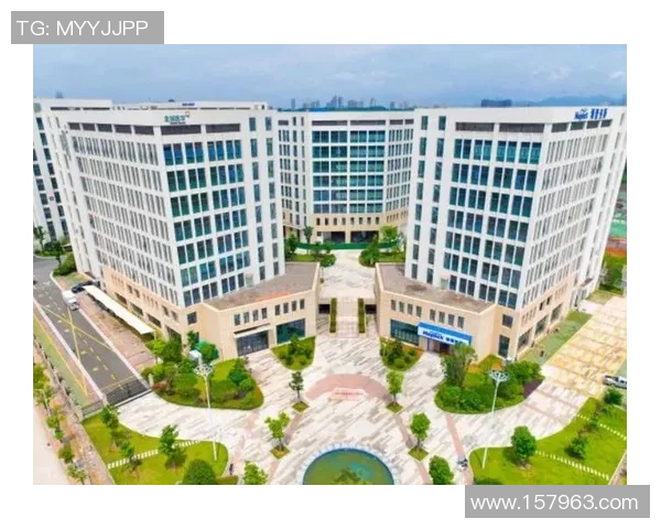 新疆广汇加速产业布局推动区域经济高质量协调发展新篇章